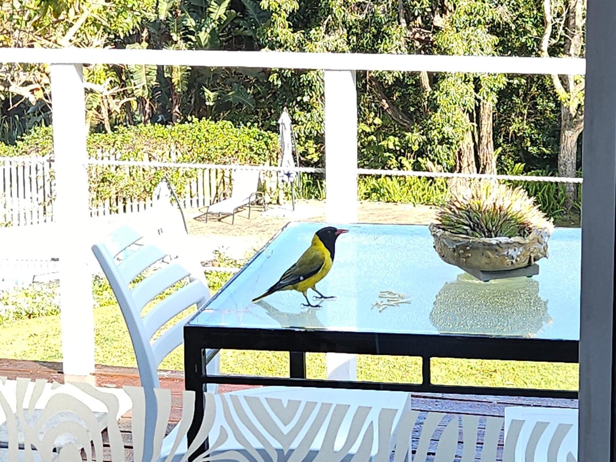 Stannards Guest Lodge 4 Star B&B, Knysna Zewnętrze zdjęcie