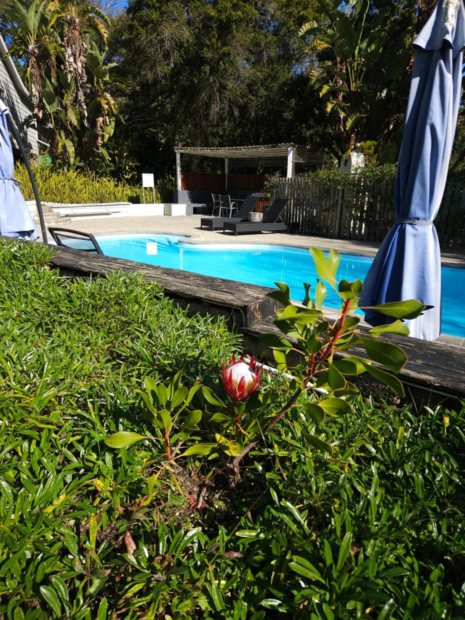 Stannards Guest Lodge 4 Star B&B, Knysna Zewnętrze zdjęcie